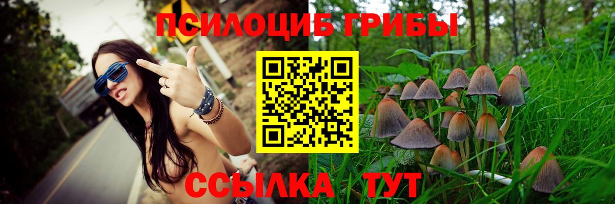 Галлюциногенные грибы мицелий  Вход с VPN  закладки  Краснотурьинск 